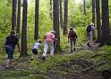 Kellerwald (13)
